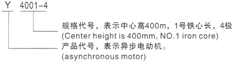 西安泰富西玛Y系列(H355-1000)高压YKS5602-12-560KW三相异步电机型号说明