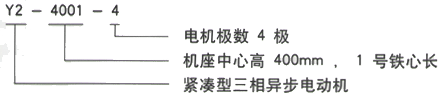 YR系列(H355-1000)高压YKS5602-12-560KW三相异步电机西安西玛电机型号说明